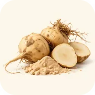 Racine de maca entière, tranchée et en poudre
